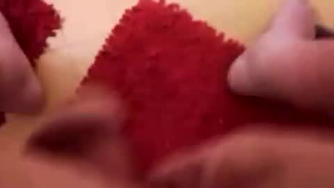 BookWriter online show from March 2025 06:46:02 AM