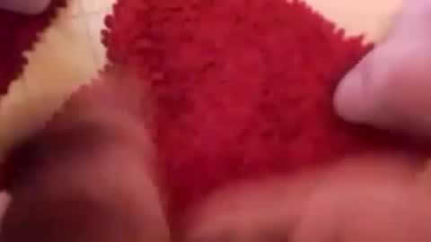 BookWriter online show from March 2025 07:43:02 AM