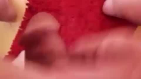 BookWriter online show from March 2025 05:24:02 AM