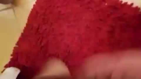 BookWriter online show from September 2025 04:55:02 AM