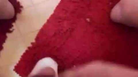 BookWriter online show from September 2025 05:42:01 AM