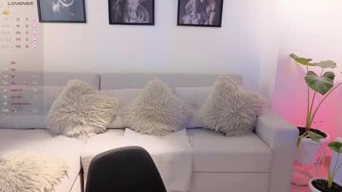   online show from November 2025 08:54:01 PM