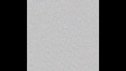 Nia online show from January 2026 11:36:02 AM