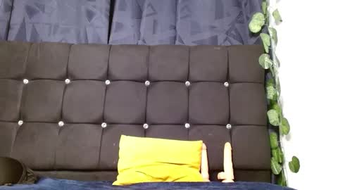 Snapshot of nicecherry_ chatting on December 2024 12:07:02 AM Michell online show from December 2024 12:07:02 AM