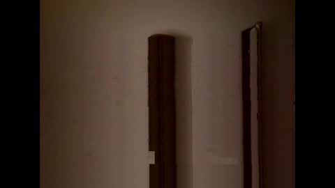 Snapshot of nicetomeetyou_1255007 chatting on October 2025 11:06:02 PM nicetomeetyou_1255007 online show from October 2025 11:06:02 PM