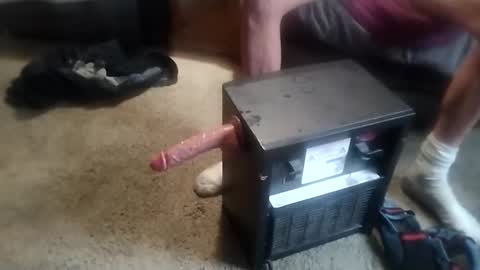 niceviewfromhere online show from February 2026 08:43:01 PM