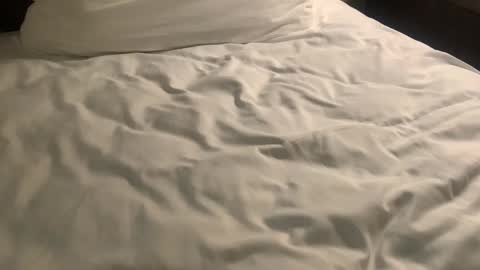 Nick Zoos online show from January 2025 09:55:01 AM