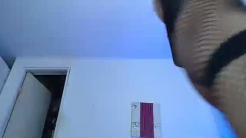 sammy hoot online show from December 2024 02:17:01 AM