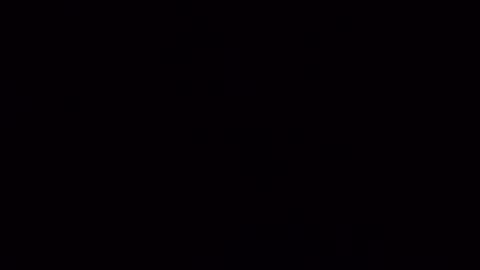 nicoleandbrian online show from December 2024 09:17:02 AM