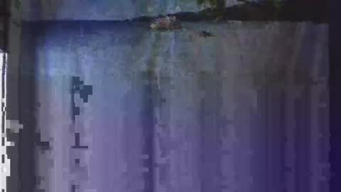 OHB Old Horny Bastard online show from January 2025 05:12:02 AM