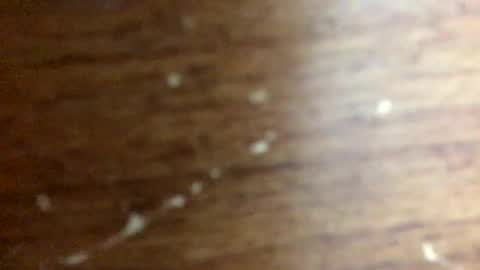 nightmoves1970 online show from November 2025 02:34:02 AM