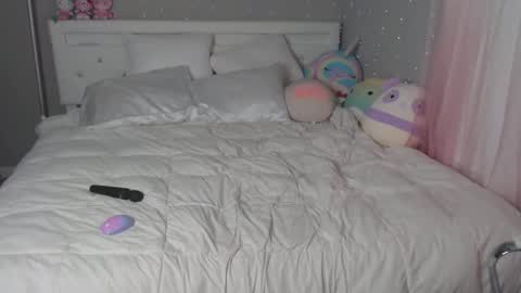 Snapshot of nikayasworld chatting on December 2024 08:05:02 PM nikayasworld online show from December 2024 08:05:02 PM