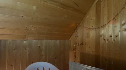 Snapshot of nikbusiness chatting on December 2024 06:10:02 AM Nick online show from December 2024 06:10:02 AM