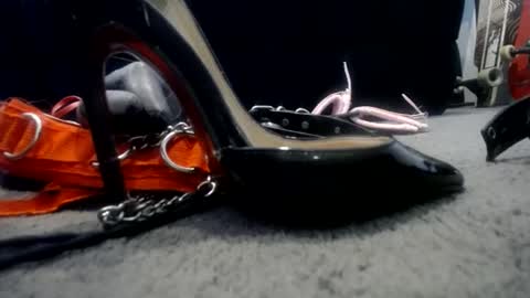 Niquita Sparkles online show from January 2025 06:20:02 AM