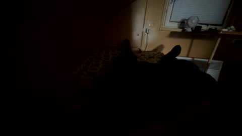 Nikk online show from September 2025 08:37:02 AM