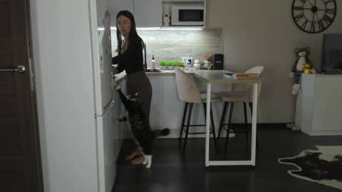 Bella online show from April 2026 10:34:01 AM