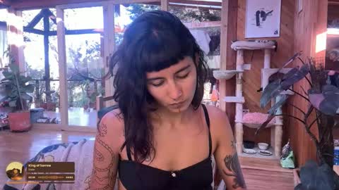 Nina.  online show from October 2025 09:26:02 PM