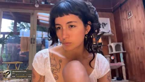 Nina.  online show from December 2025 08:15:02 PM