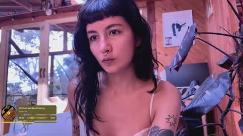 Snapshot of nina_just chatting on May 2026 07:44:01 PM Nina. online show from May 2026 07:44:01 PM