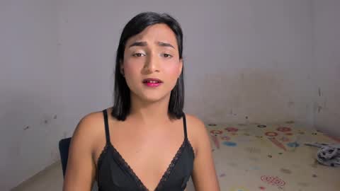 Noah online show from December 2024 08:00:02 PM