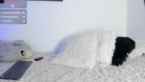 Snapshot of noah_lambert chatting on January 2025 03:26:02 AM Noah online show from January 2025 03:26:02 AM