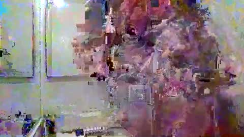 noboundariesinprivate online show from March 2026 04:37:01 AM