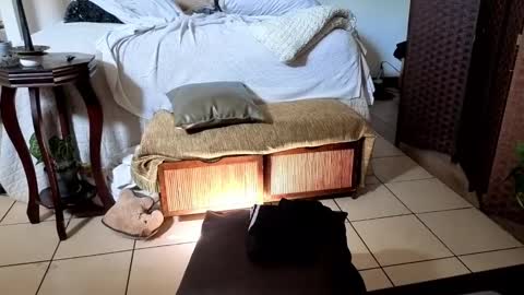 nobudget06 online show from February 2025 04:42:02 PM