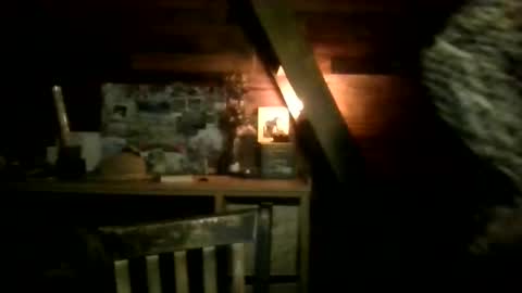 Nola online show from March 2026 02:40:01 AM