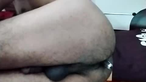 sim  nib online show from November 2025 11:42:01 AM