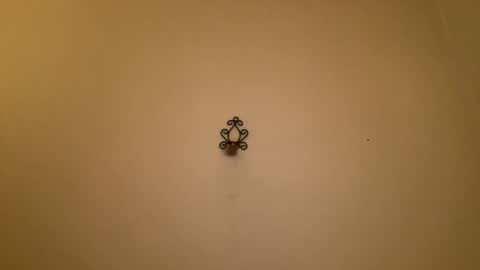 noscandal online show from February 2025 12:16:01 AM