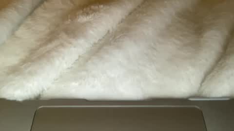 noscandal online show from December 2025 05:03:02 AM