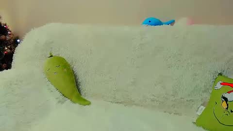 hi glad to chat online show from January 2025 08:13:02 AM