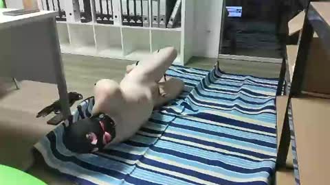 Snapshot of numlove chatting on February 2025 11:33:01 AM Slave for Mistress and Master online show from February 2025 11:33:01 AM