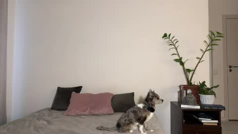 nura_foxx online show from June 2026 01:16:01 AM