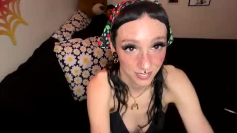 Nymphaea online show from December 2024 02:08:01 AM