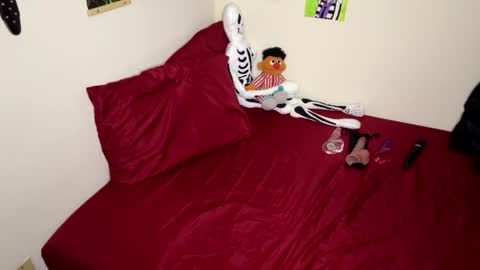 Nymphaea online show from November 2025 12:31:02 AM