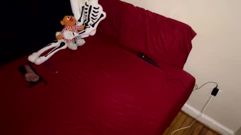 Nymphaea online show from February 2026 11:34:02 PM