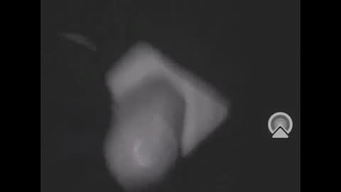 nympham online show from April 2026 05:07:02 AM