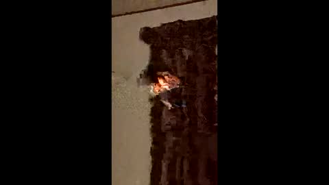 ocnyrmvntufr online show from June 2026 04:49:01 AM