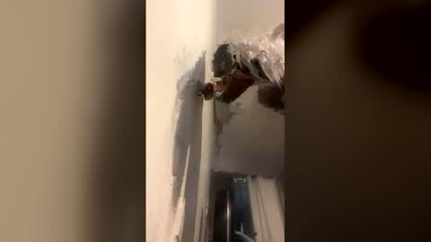 Kira online show from December 2025 09:03:01 AM