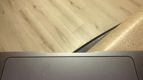 Snapshot of ofthatguy chatting on October 2025 02:30:02 AM ofthatguy online show from October 2025 02:30:02 AM