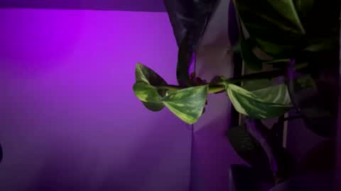 bbygtbckkk online show from December 2024 04:34:01 AM