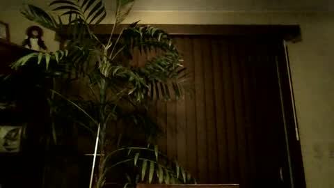 Snapshot of ohioguy64 chatting on September 2025 02:35:02 AM ohioguy64 online show from September 2025 02:35:02 AM