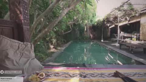 Snapshot of ohmymojo chatting on November 2025 01:05:01 AM Mo online show from November 2025 01:05:01 AM