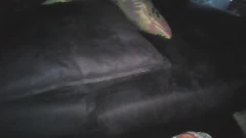 oigreshi online show from April 2026 11:10:01 PM