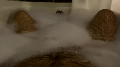 oldbones2 online show from February 2025 01:36:01 AM