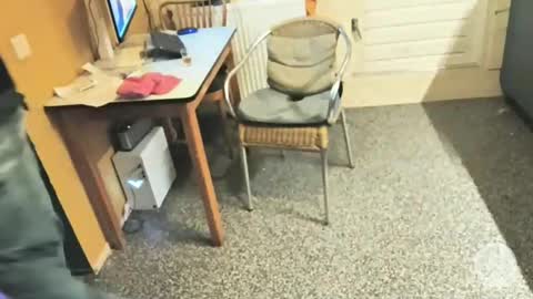 oldersagger online show from December 2025 05:09:01 PM