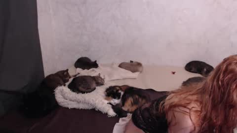 Olivia online show from January 2026 04:23:01 PM