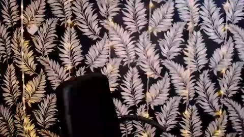 Snapshot of oliviaoskar_ chatting on January 2025 12:13:01 PM Kelly online show from January 2025 12:13:01 PM