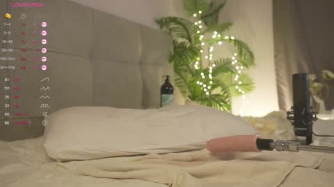 Lily dont forget to follow me  good to see you all online show from February 2025 07:00:01 PM